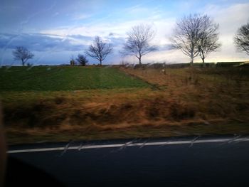 Trees on field against sky