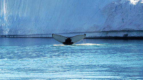 Boat in a sea