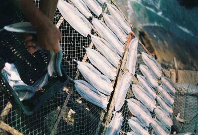 Dry fishes for sale at market