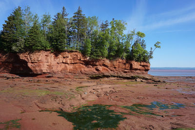 Rock formation in the bay of fundy at low tide at burntcoat head park in nova scotia canada