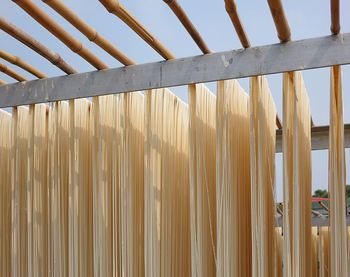 Close-up of noodles drying at factory