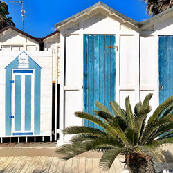 Palm tree by building against blue sky