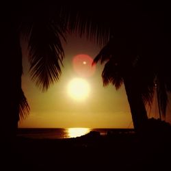 Silhouette of palm trees at beach during sunset