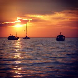 Sailboat sailing in sea at sunset