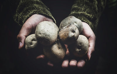 Cropped hands holding potatoes