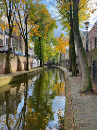 Canal amidst trees in city during autumn