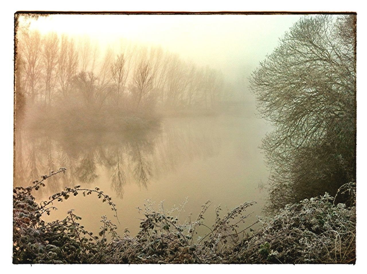 transfer print, water, auto post production filter, tranquility, tranquil scene, reflection, lake, scenics, beauty in nature, nature, sky, plant, grass, fog, tree, non-urban scene, outdoors, idyllic, river, no people