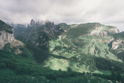 Scenic view of forest against sky