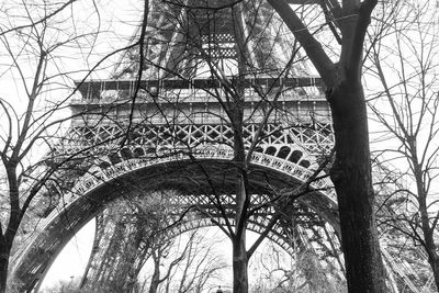 Low angle view of bare tree against building