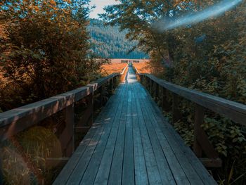 Footbridge in forest