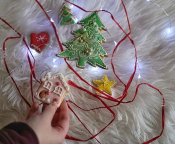 High angle view of hand holding christmas tree