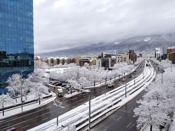 Snowy say, boulevard bulgaria