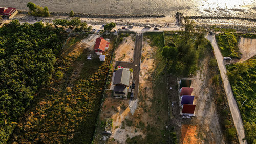 High angle view of trees and buildings in city