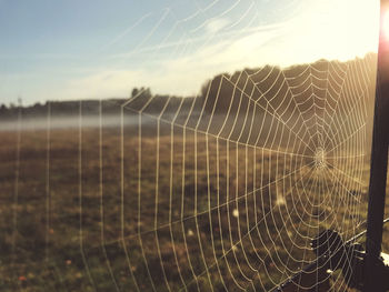 Close-up of spider web on field against sky