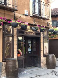 Potted plants in front of building