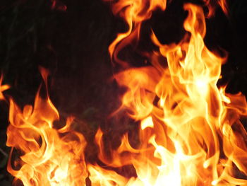 Close-up of bonfire at night