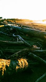 Aerial view of field