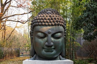 Close-up of buddha statue against trees