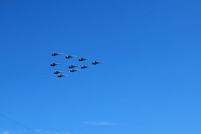 Low angle view of birds flying in sky