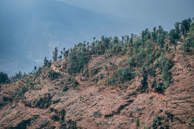 High angle view of trees on mountain against sky