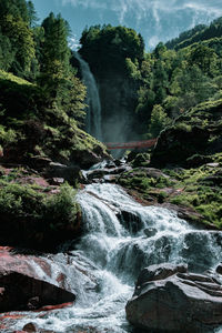 Scenic view of waterfall in forest