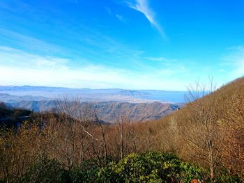 Scenic view of agricultural landscape against sky