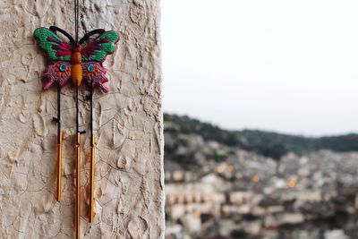 Dream catcher butterfly with a long view of city