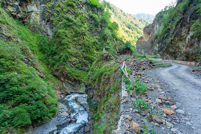 Stream flowing through rocks in forest