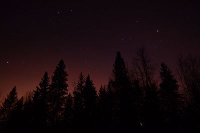 Low angle view of silhouette trees against sky at night