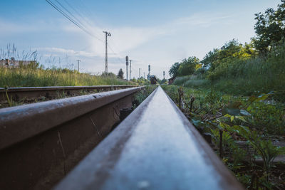 Railroad tracks amidst trees against sky