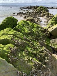 High angle view of rocks on sea shore