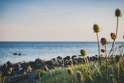 Scenic view of sea against sky