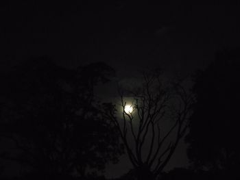 Low angle view of illuminated street light against sky at night