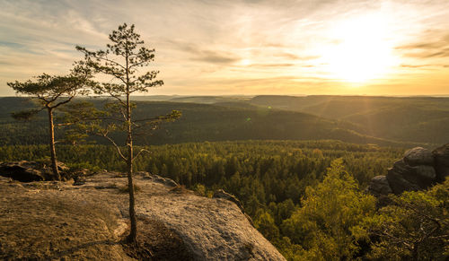 Scenic view of landscape against sky during sunset