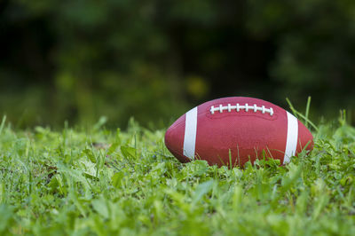 Close-up of american football on field