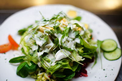 Close-up of salad served in plate