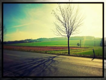 Country road on grassy field
