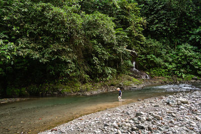 Child walking in river in rain forest of costa rica