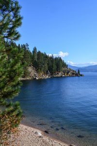 Scenic view of sea against blue sky