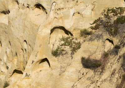 Rock formations in a desert