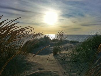 Scenic view of sea at sunset