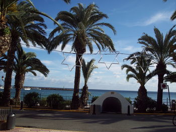 Palm trees by sea against sky