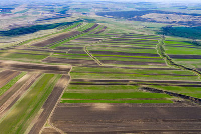 High angle view of agricultural field