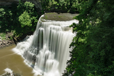 Scenic view of waterfall in forest