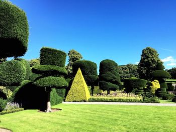 Topiary at garden against blue sky during sunny day