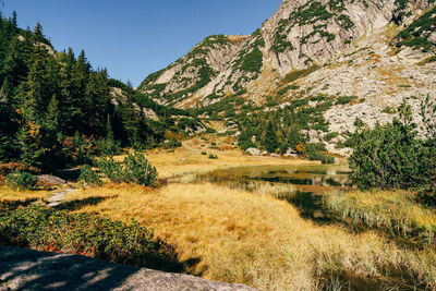 Scenic view of land against clear sky