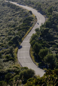 High angle view of road amidst trees