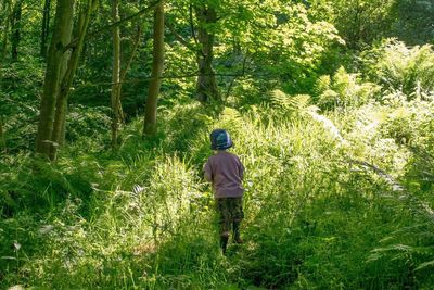 Rear view of man walking in forest