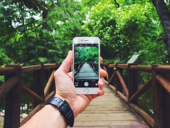 Cropped image of woman holding smart phone