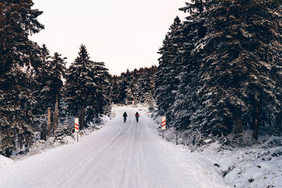 Rear view of people walking on snow covered road